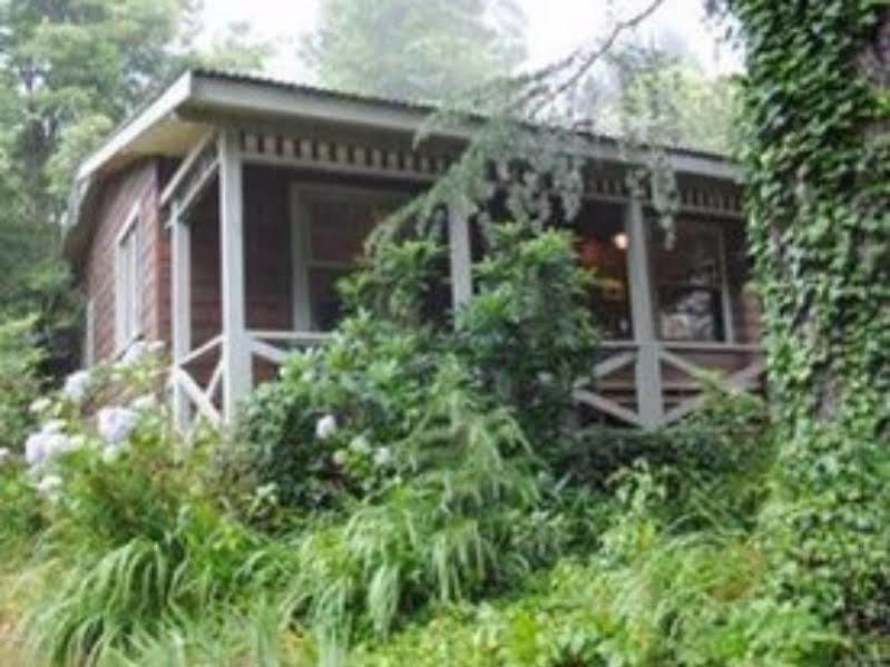 Bygone Beautys Cottages Leura Exteriör bild